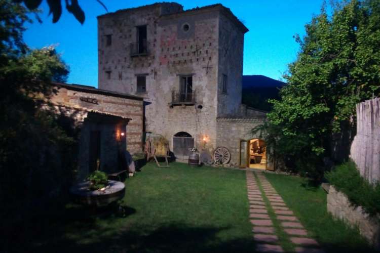 Bovino